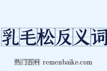 乳毛松反义词是什么意思的图片